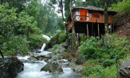 Coorg Packages From Mysore For 2 Days